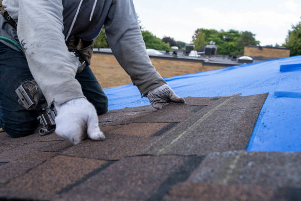 Best Roof Waterproofing Services  in Crystal City, MO